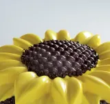 Форма для выпечки Silikomart Forma do ciasta Girasole Sft 252, круглая, силикон, Ø 26 см — фото 4
