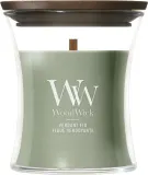 Свеча ароматическая Woodwick Core «Verdant Fig» — фото 1