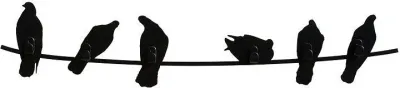 Крючок для дома Covo Birds on Wire, нержавеющая сталь, чёрный