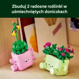 LEGO Botanicals - Качающиеся растения 11506 — фото 6