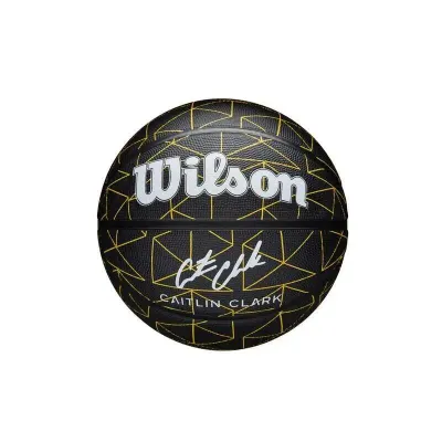 Мяч баскетбольный Wilson CC Repetition