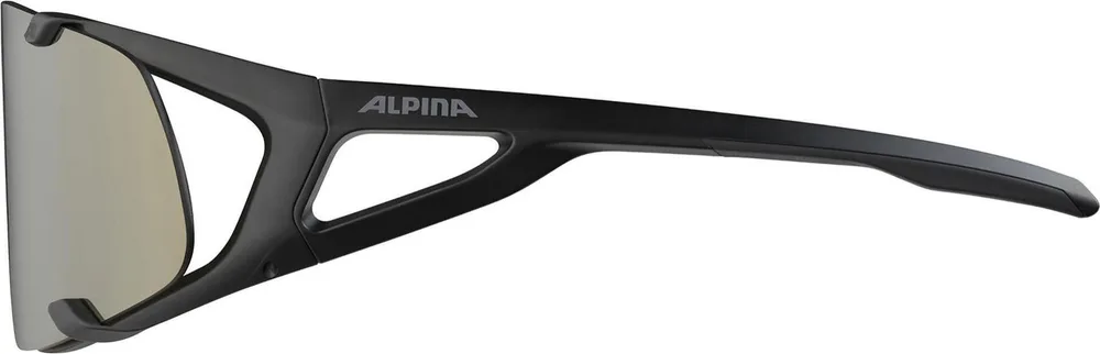Очки солнцезащитные Alpina Hawkeye Q-Lite, Чёрный