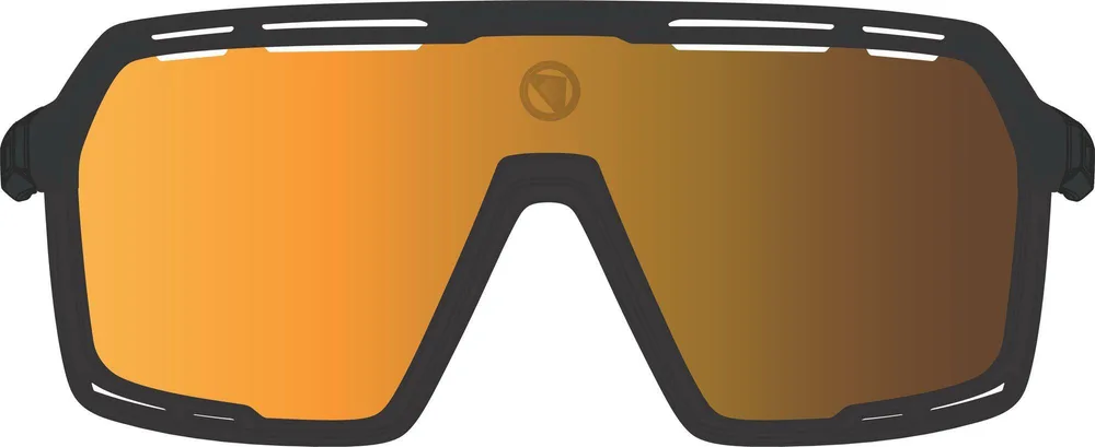 Солнцезащитные очки Endura Pro SL для плавания