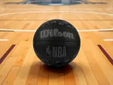 Мяч баскетбольный Wilson NBA All Team In/Out — фото 2