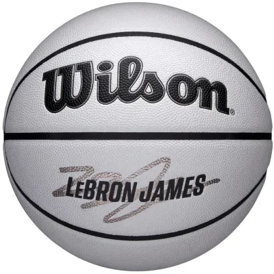 Мяч баскетбольный Wilson NBA Player Icon UV LeBron James, размер 7