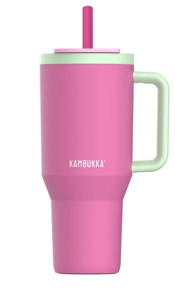 Термокружка дорожная Kambukka Rio 950 мл со трубочкой Bubblegum Mint