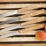 Набор из 4 столовых ножей Opinel olive — фото 3