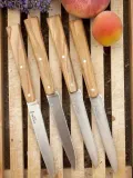 Набор из 4 столовых ножей Opinel olive — фото 4