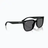 Солнцезащитные очки Ray-Ban RB4466D — фото 1