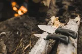 Набор кухонных ножей для кемпинга и бушкрафта Solognac — фото 6