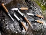 Opinel Нож складной с дубовой рукоятью и гравировкой Animalia Сурок №08 — фото 2