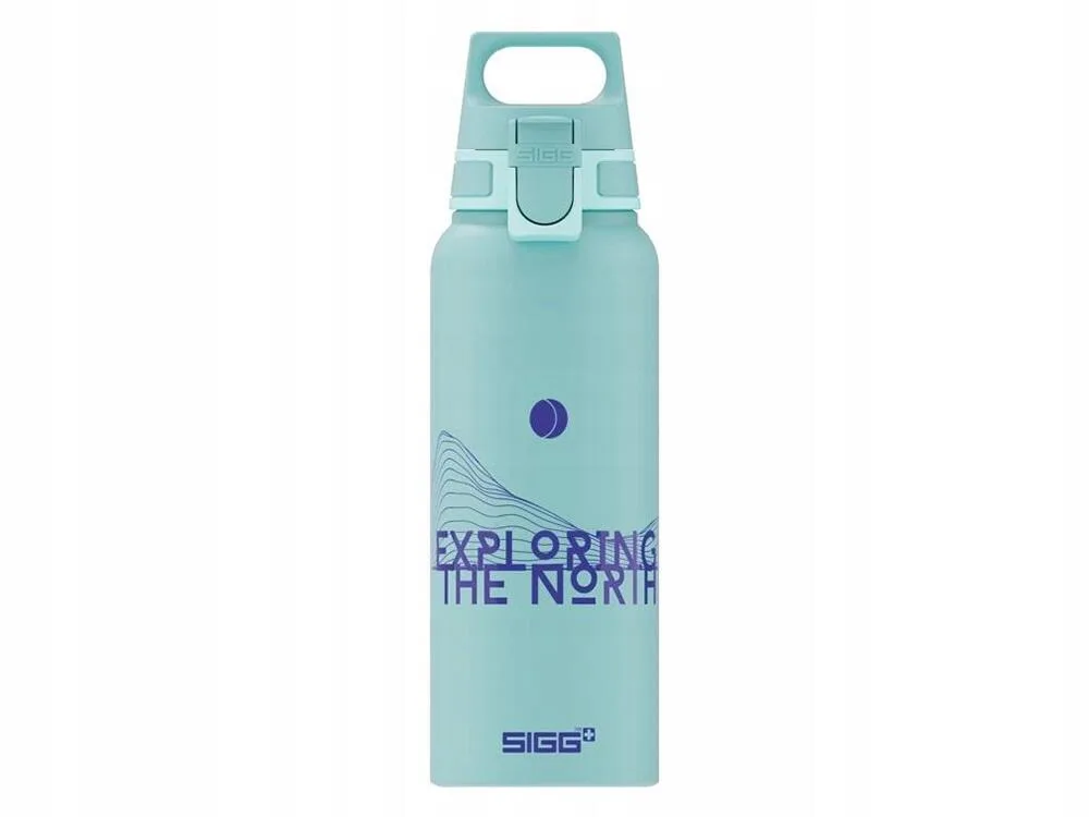 Фляга-бутылка SIGG WMB One Pathfinder, 1 л