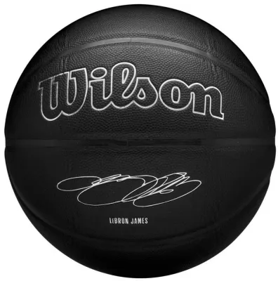 Мяч баскетбольный Wilson NBA Player Evergreen Bskt LeBron, размер 7