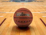 Мяч баскетбольный Wilson Legend Comp Bskt BR — фото 2