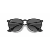 Солнцезащитные очки Ray-Ban Erika матовые чёрные — фото 5
