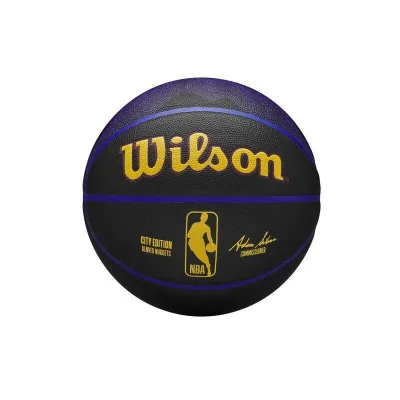Мяч баскетбольный Wilson Denver Nuggets Team City Collector 2023
