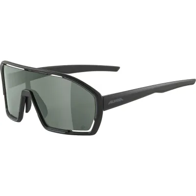 Спортивные очки Alpina Bonfire Q-Lite чёрные