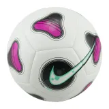 Мяч футзальный Nike Futsal Pro — фото 1