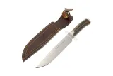 Muela Нож классический с рукоятью из рога оленя Deer Stag Satin 195 мм — фото 4