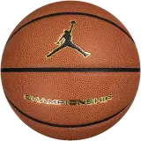 Мяч баскетбольный Jordan Championship 8P Ball, размер 7 — фото 1