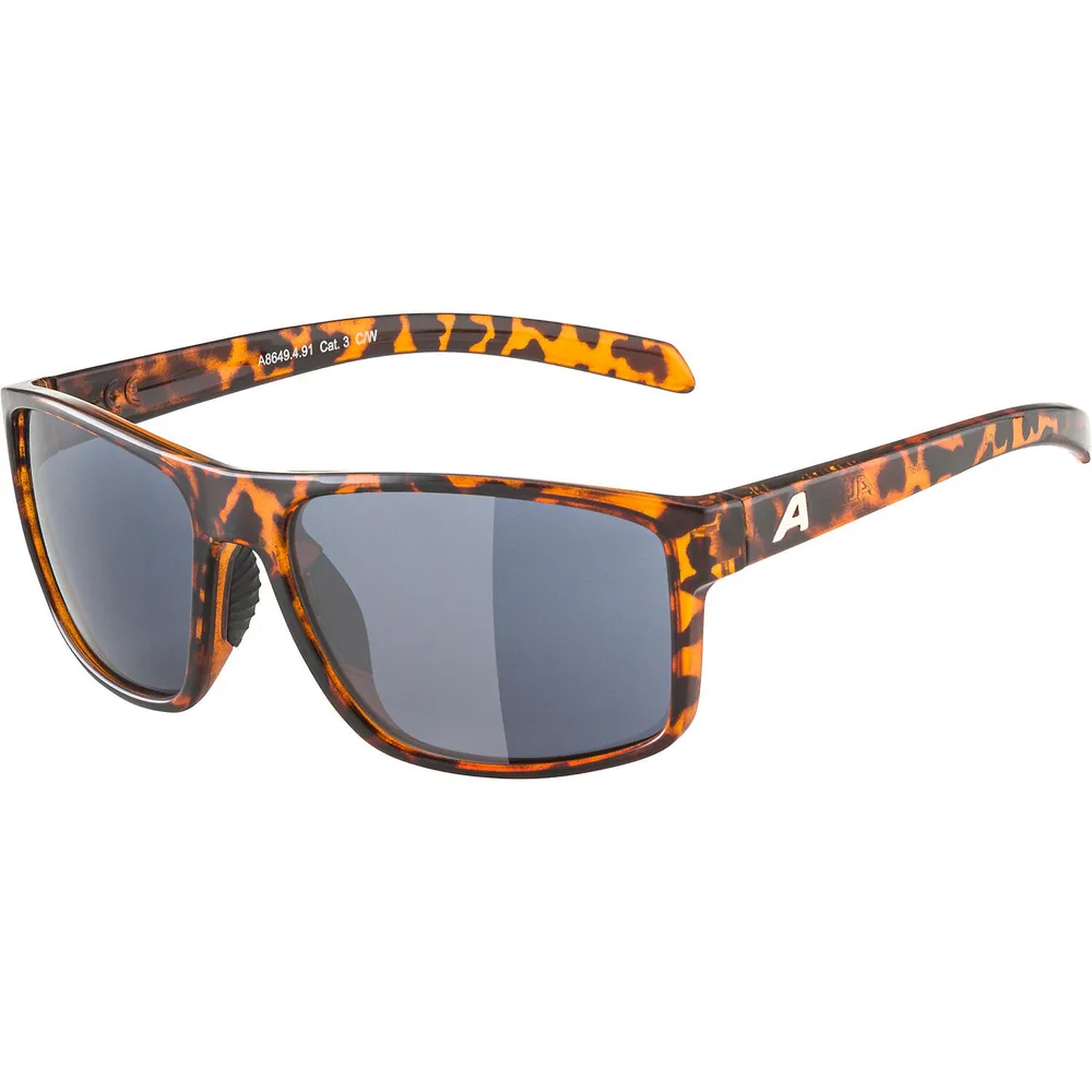 Солнцезащитные очки Alpina Nacan I