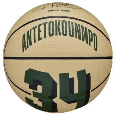 Мини-мяч баскетбольный детский Wilson NBA Player Icon Giannis