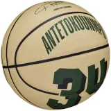 Мини-мяч баскетбольный детский Wilson NBA Player Icon Giannis — фото 2