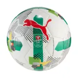 Мяч футбольный Puma Orbita 6 Carabao Cup 2025/26 — фото 1