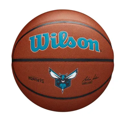 Мяч баскетбольный Wilson Team Alliance Charlotte Hornets, размер 7
