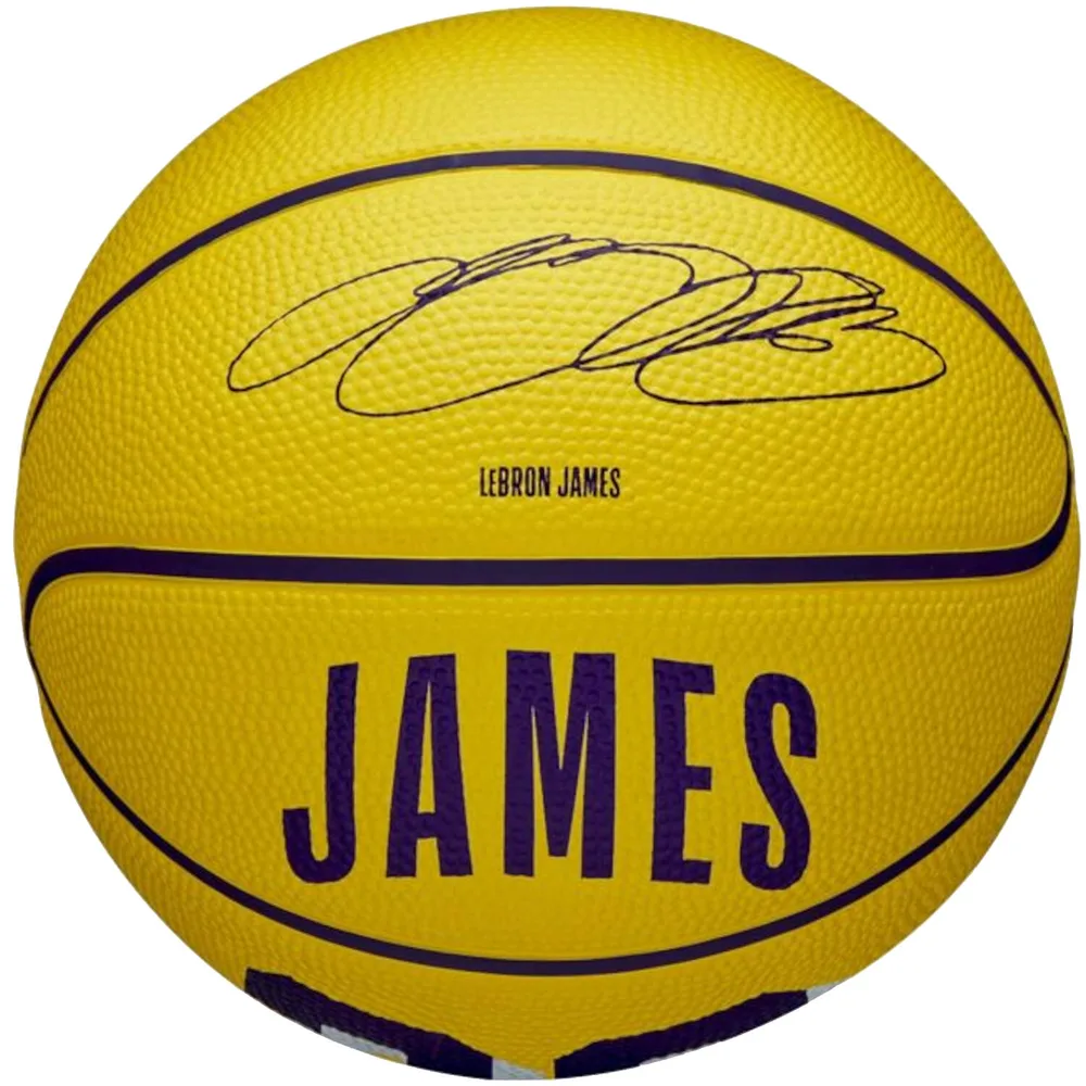 Мяч баскетбольный Wilson NBA Player Icon LeBron James мини, размер 3