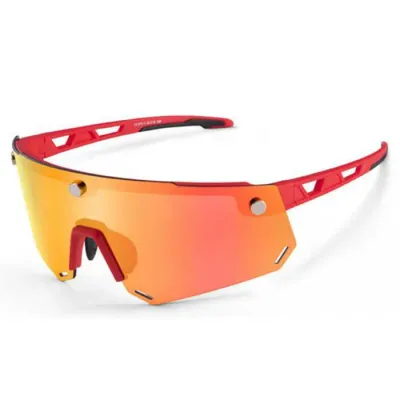 Очки спортивные унисекс Rockbros SP213RB поляризационные