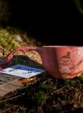 Кружка туристическая Kupilka 21 Moomin Little My (0,21 л), красная — фото 2