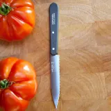 Набор кухонных ножей для овощей и фруктов Opinel Essentials — фото 5