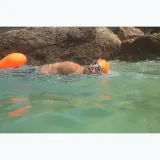 Очки для плавания Zoggs Predator Polarized, Универсальный, Синий — фото 2
