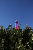 Туристическая бутылка-бидон SIGG Viva One 0,5 л — фото 4