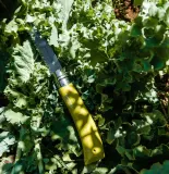 Набор из двух ножей и пилы Opinel — фото 2