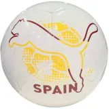 Мяч футбольный Puma Euro Fan Ball — фото 1