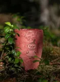 Кружка туристическая Kupilka 30 Moomin Little My 0,3 л красная — фото 3
