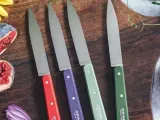 Opinel Набор из 4 универсальных ножей Landscape Colours — фото 4