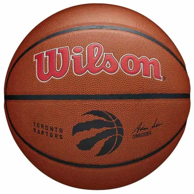 Мяч баскетбольный Wilson Team Alliance Toronto Raptors, размер 7