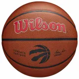 Мяч баскетбольный Wilson Team Alliance Toronto Raptors, размер 7 — фото 1