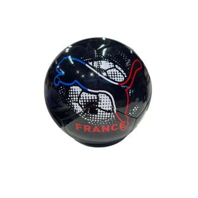 Мяч футбольный Puma Euro Non-Licensed Fan Ball