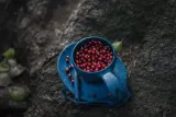Туристическая тарелка Kupilka 14 малая Blueberry (синяя) — фото 5
