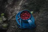 Туристическая тарелка Kupilka 14 малая Blueberry (синяя) — фото 6