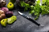 Нож outdoor Opinel №10, лезвие 10 см, рукоять из эбенового дерева — фото 8