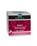 Dilmah Exceptional Berry Sensation 20 пирамидок — фото 1