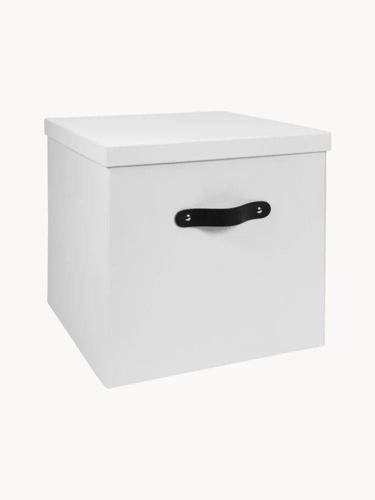 Bigso Box of Sweden Коробка для хранения Texas, Ш 32 × В 32 см, Белый