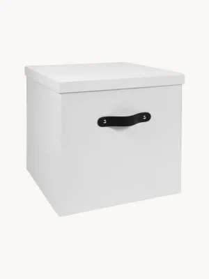 Bigso Box of Sweden Коробка для хранения Texas, Ш 32 × В 32 см, Белый