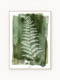 Malerifabrikken Картина с цифровой печатью White Fern, 30х40 см — фото 1
