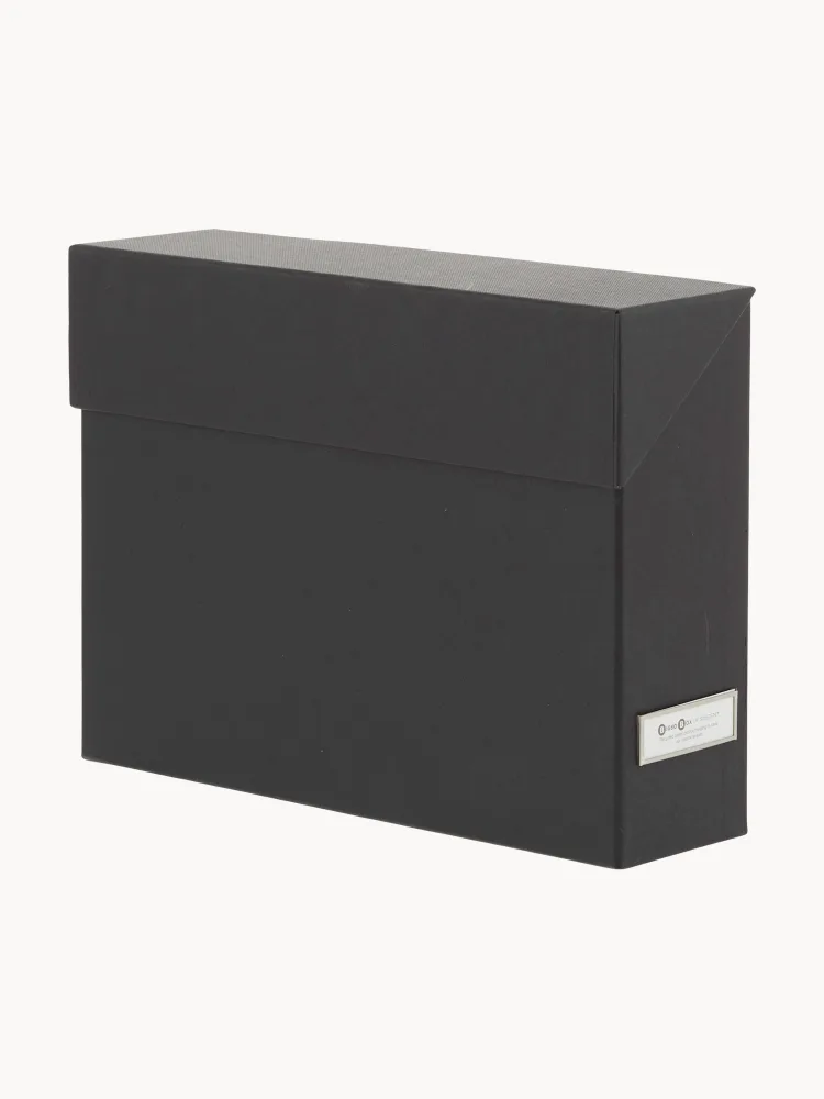 Bigso Box of Sweden Органайзер для документов Lovisa на 12 отделений, 33 x 24 см, Ш 33 × В 24 см, Чёрный